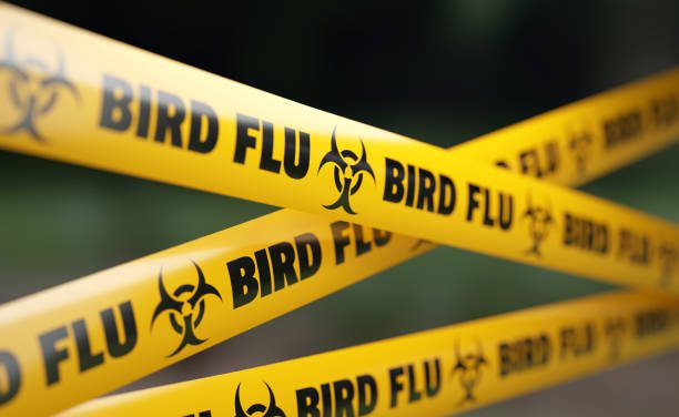 Vaccine Makers Prep Bird Flu Shot For Humans ‘Just in Case’; Rich Nations Lock in Supplies